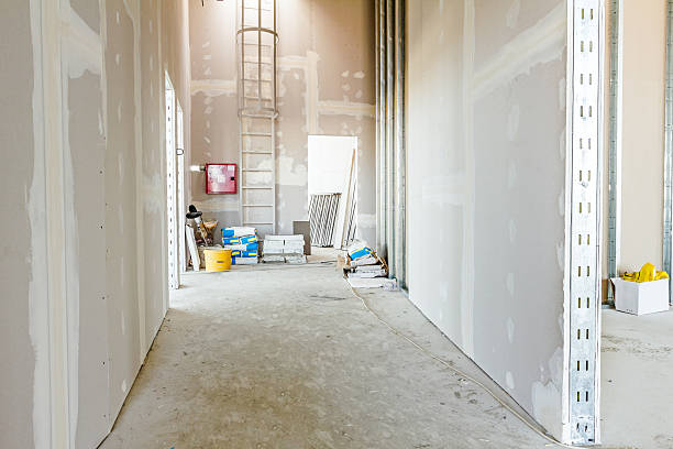 Whittier, CA Mold Removal Company